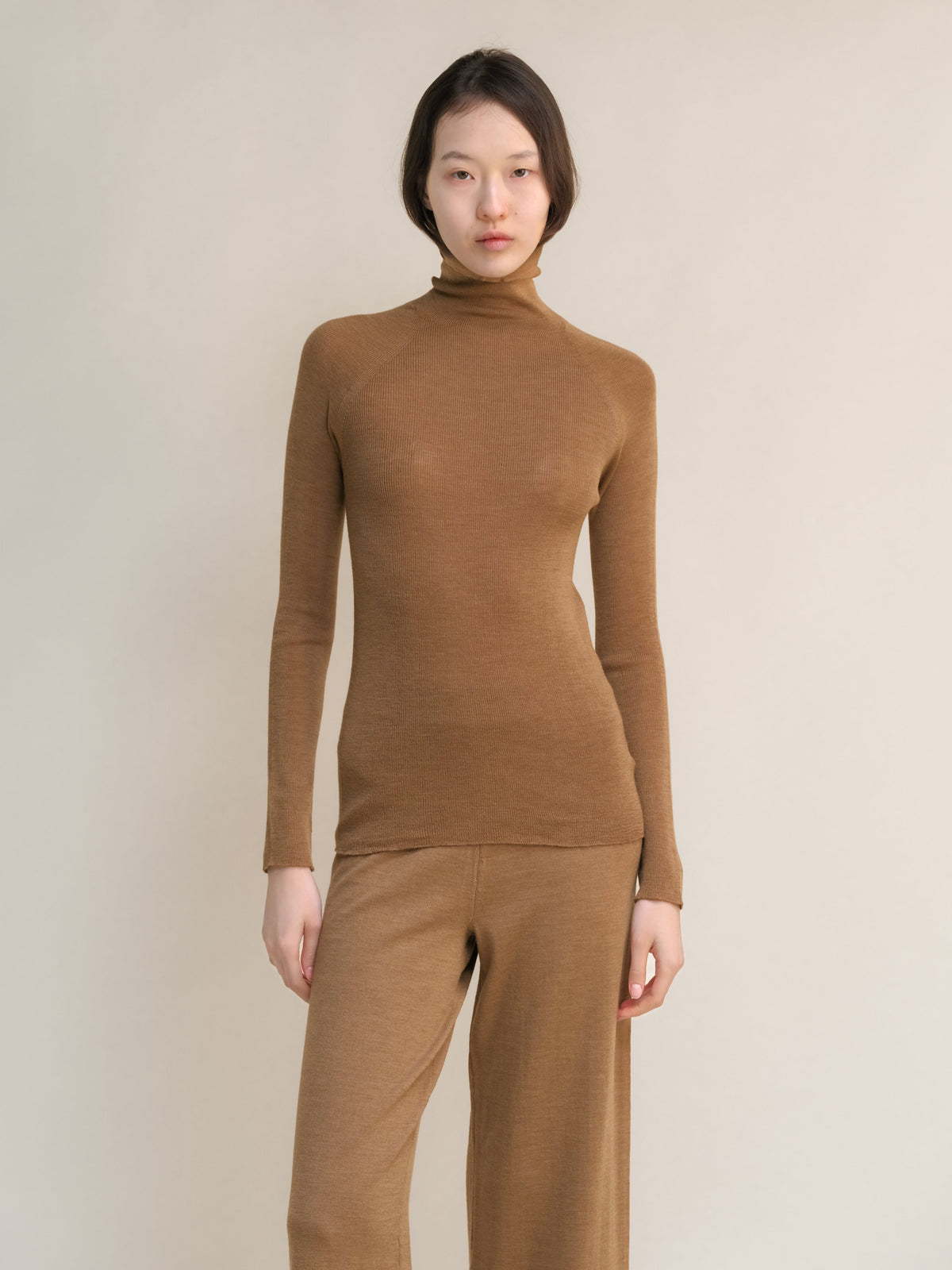 Extra Fine Merino Ribbed Turtleneck