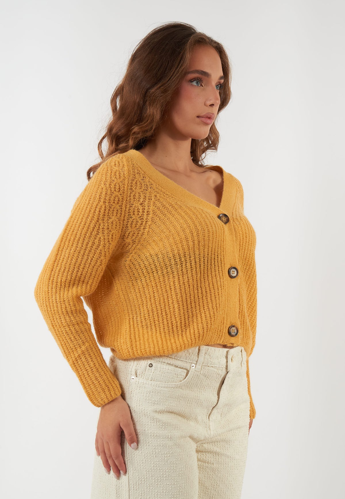 CARDIGAN ZEBU GIALLO