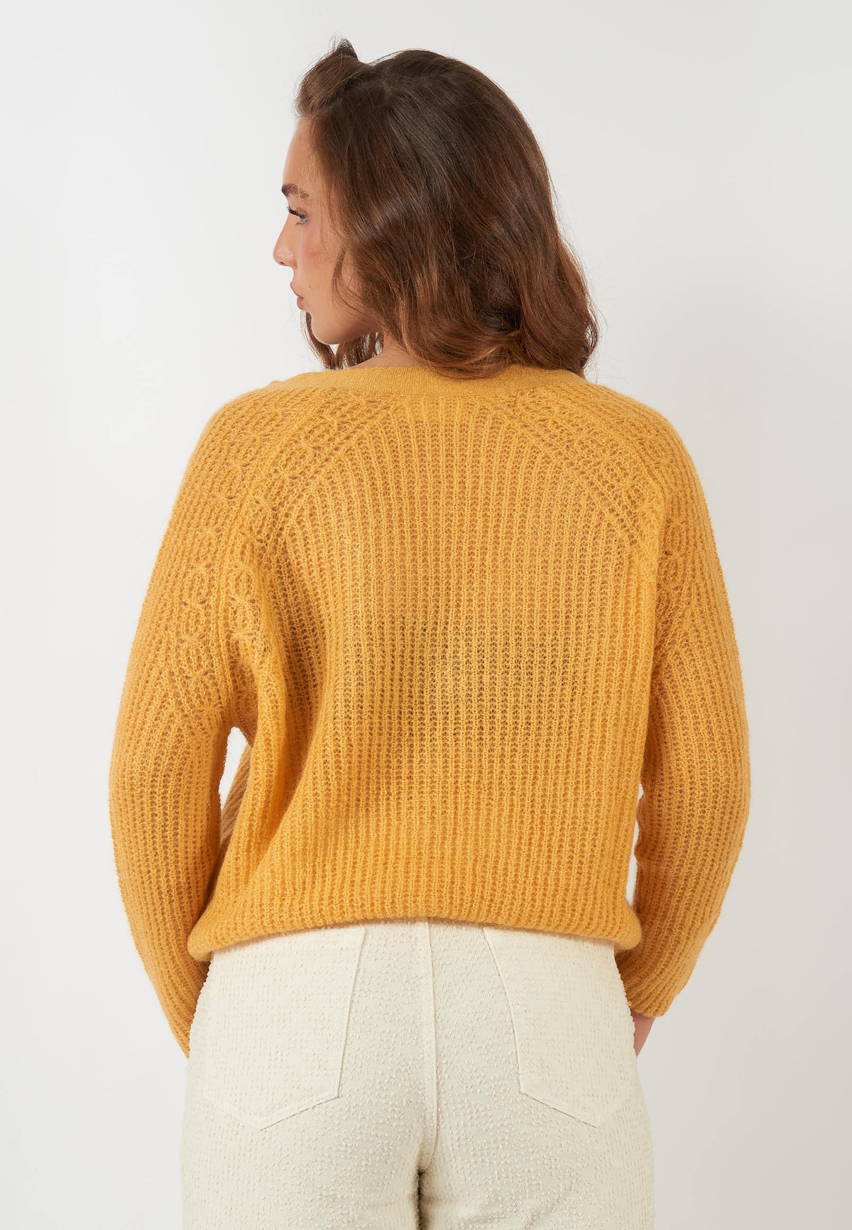 CARDIGAN ZEBU GIALLO