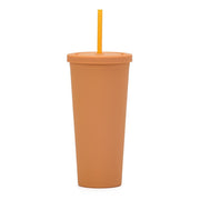 Double Layer Plastic Solid Color Simple Straw Cup