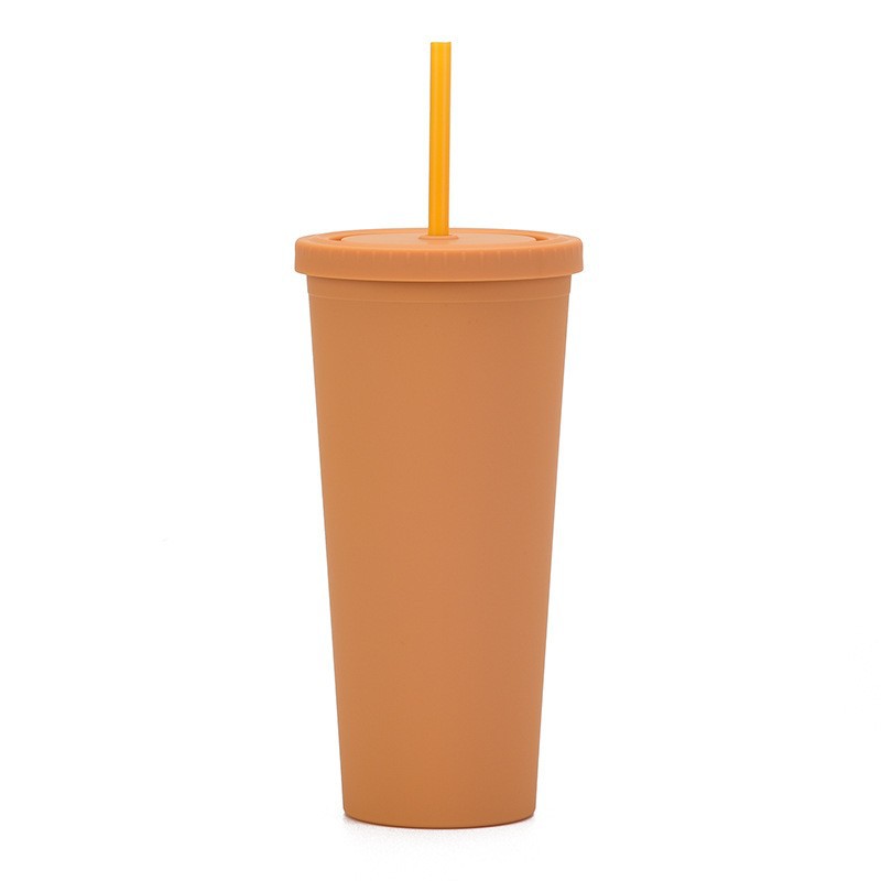 Double Layer Plastic Solid Color Simple Straw Cup