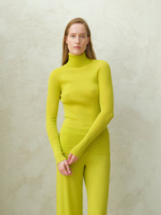 Extra Fine Merino Ribbed Turtleneck
