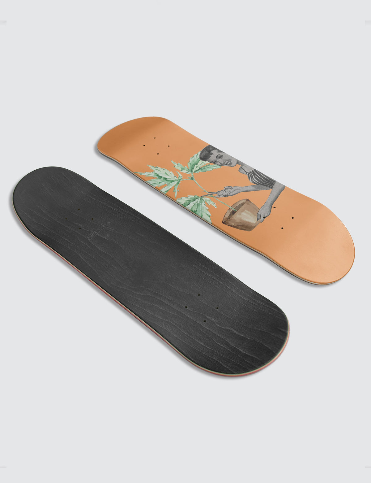 Botanical Deck - 8.375