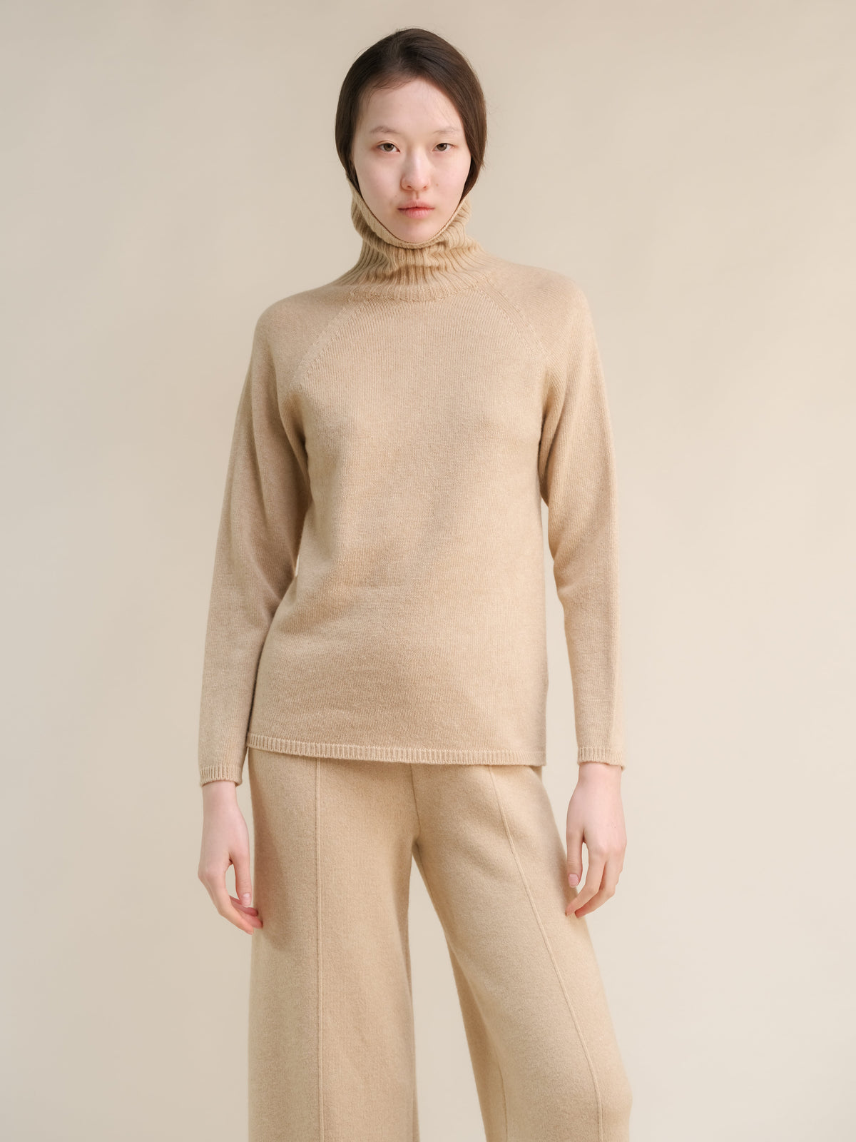 Cashmere Mix Turtleneck Sweater