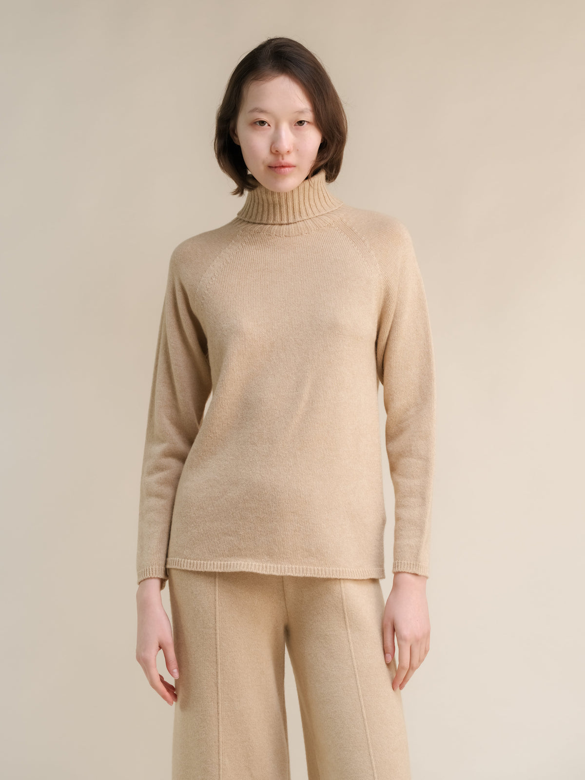 Cashmere Mix Turtleneck Sweater