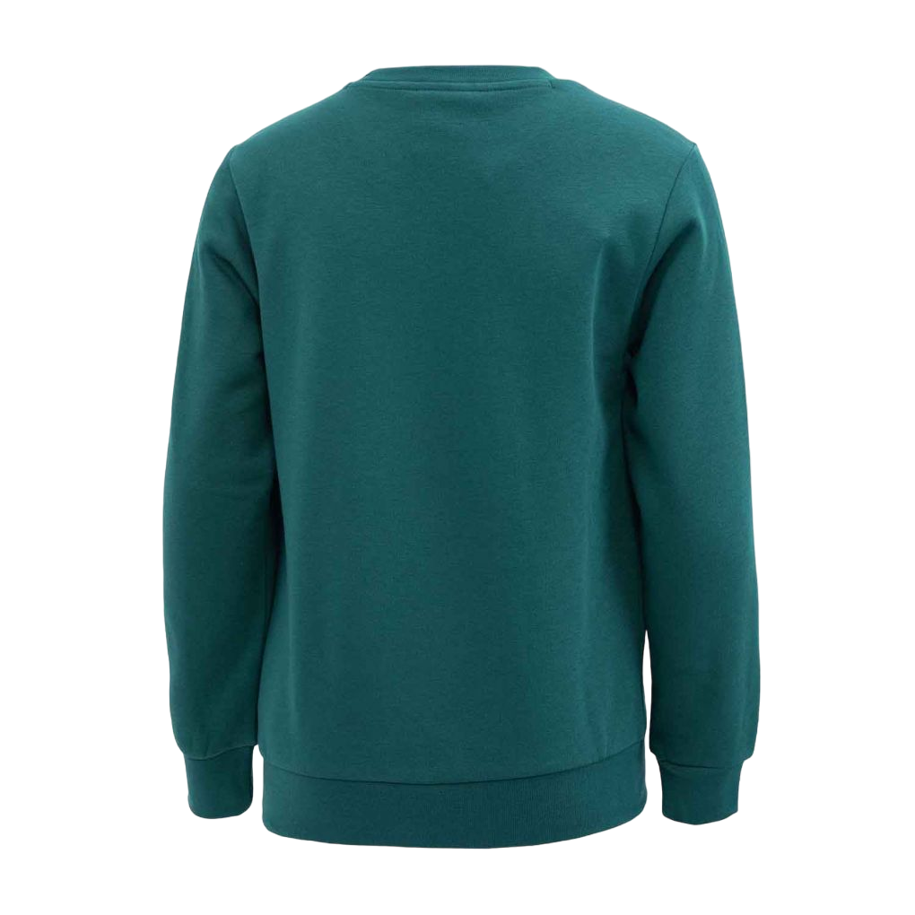 Champion felpa girocollo da bambino 306838 GS502 verde