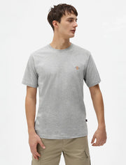 Dickies T-shirt manica corta da uomo  Mapleton DK0A4XDBGYM grey mela