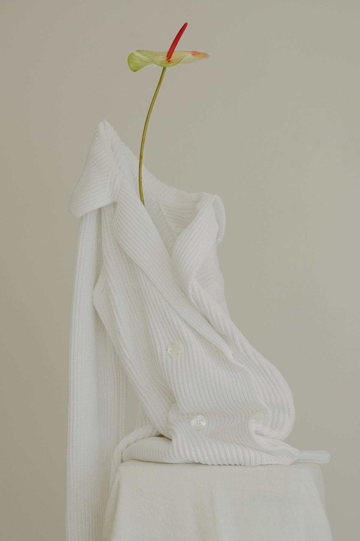 Cotton "Bar" Jacket