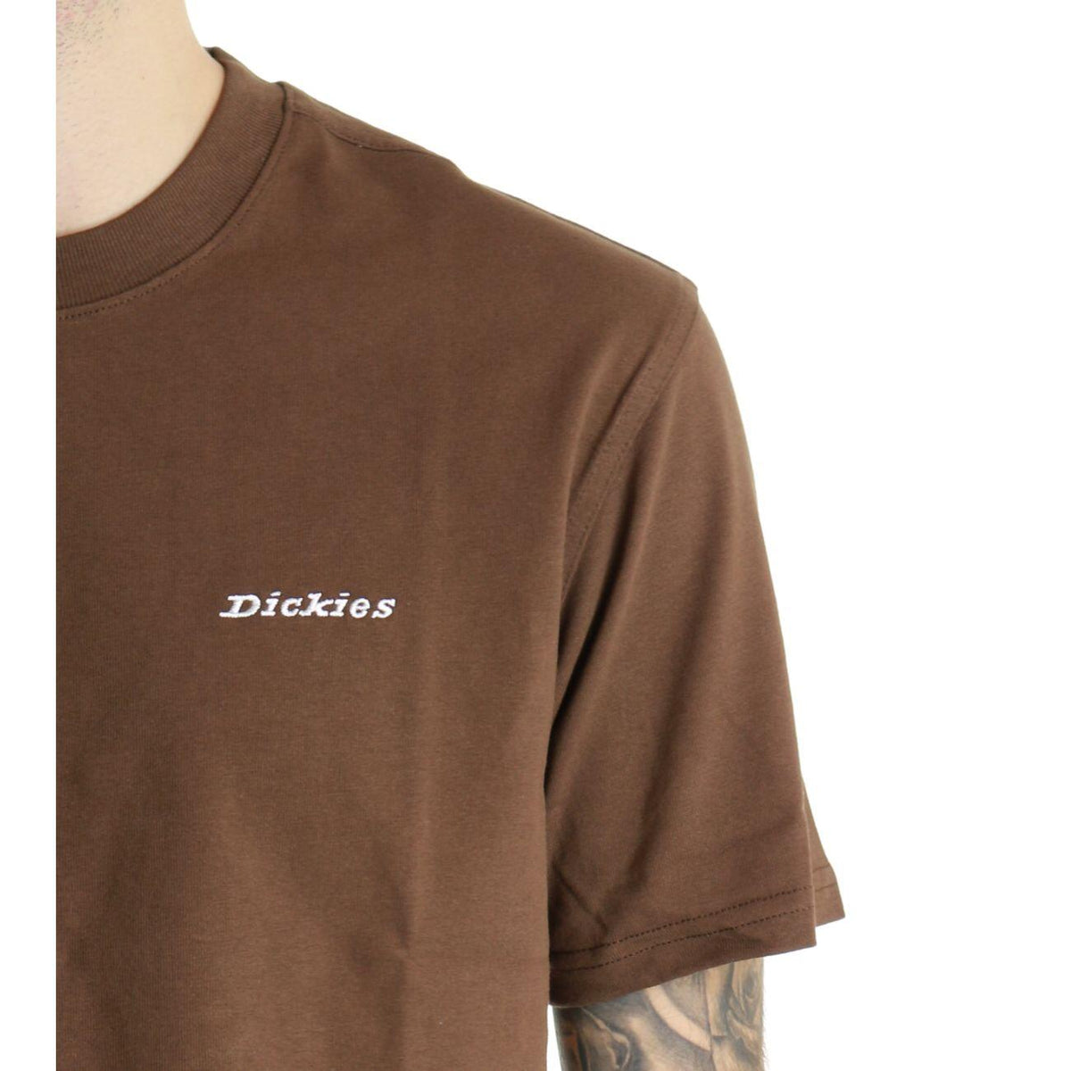 Dickies T-shirt di peso medio Loretto DK0A89EN0TB1 Marrone