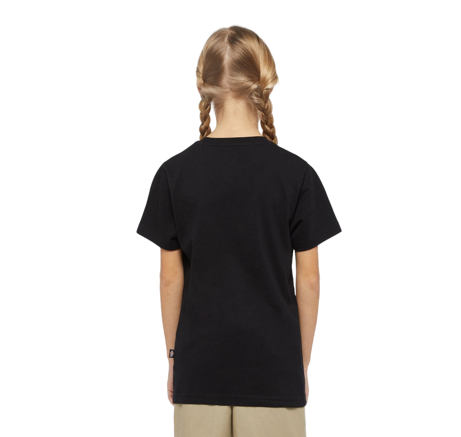 Dickies maglietta manica corta da ragazzi Mapleton DK0KSR64KBK nero