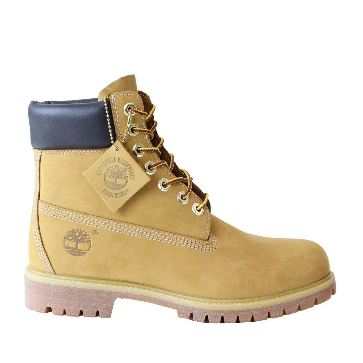 ANFIBIO PREMIUM 6 LACE GIALLONE