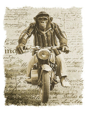 Monkey Dream Moto - T-shirt Uomo Urban 100% Cotone